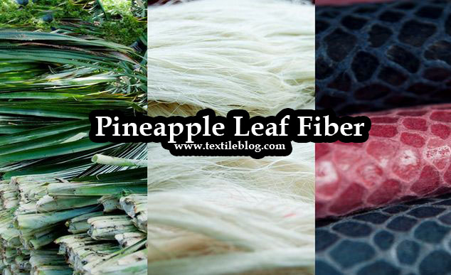 Clothing made from pineapple fiber