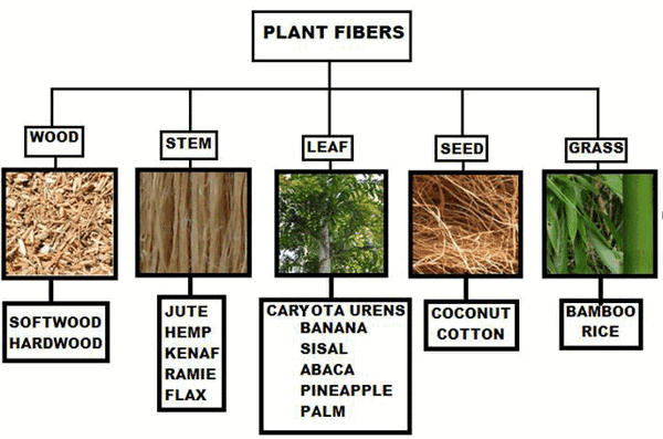 Plant Fibres Properties Types and Uses Textile Blog